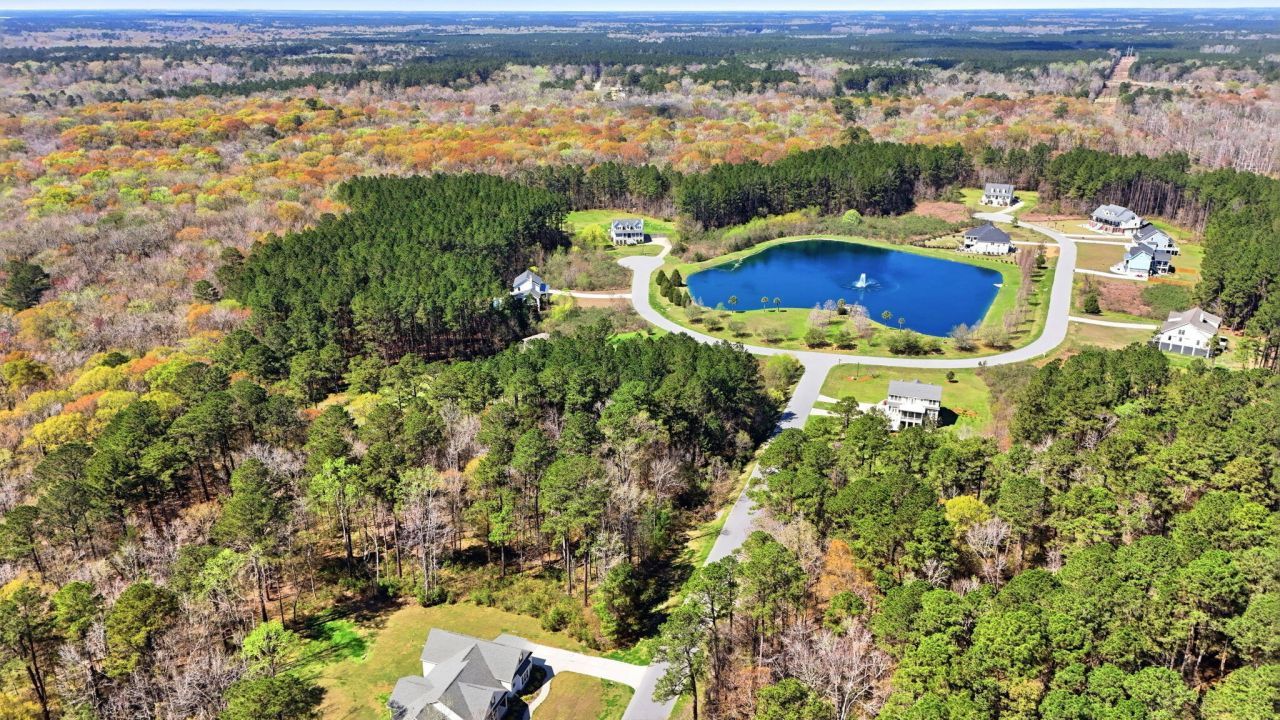 1313 Wood Sorrel Drive Photo 5