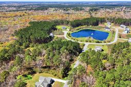 1313 Wood Sorrel Drive photo 4