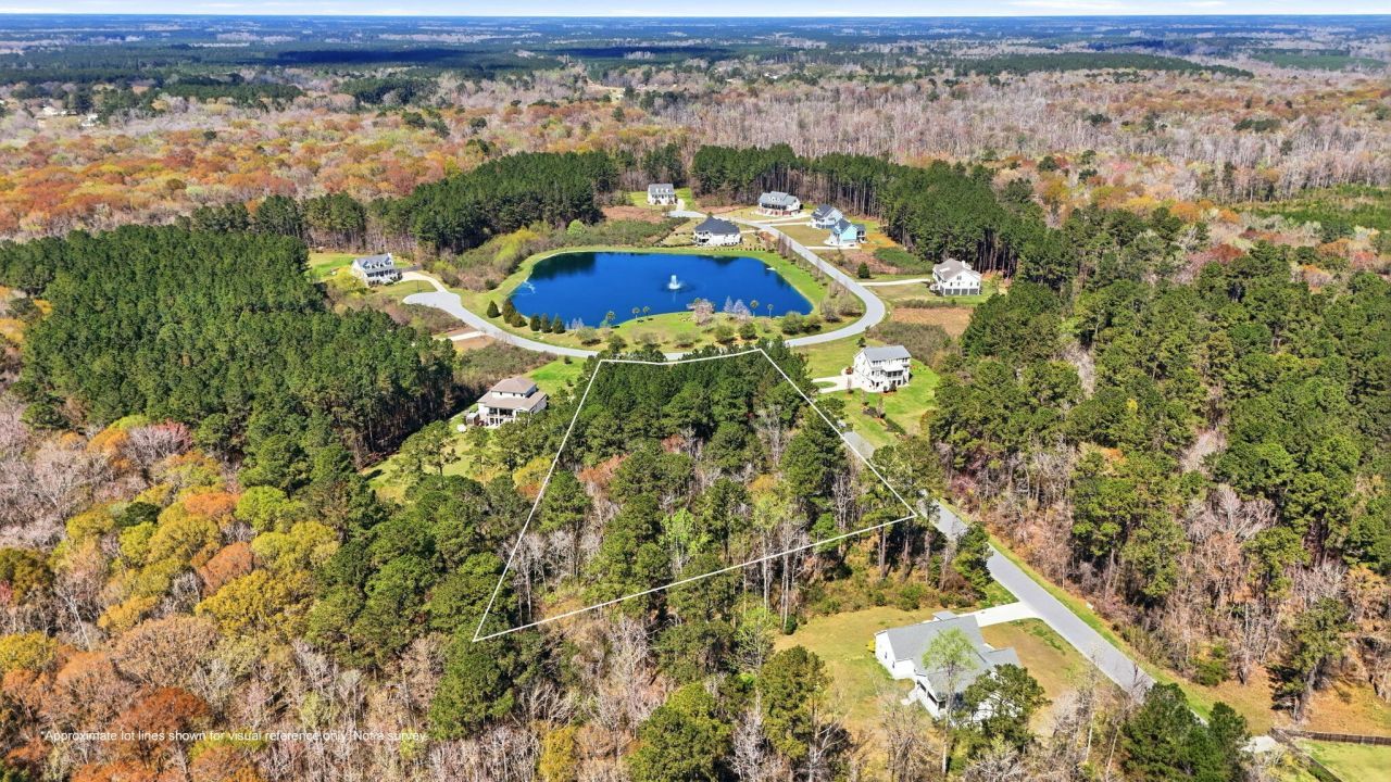 1313 Wood Sorrel Drive Photo 6