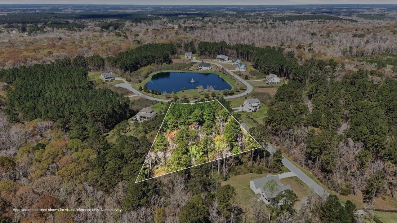 1313 Wood Sorrel Drive Photo 7