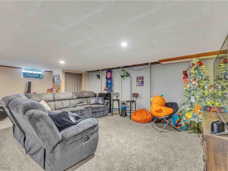 10273 E River Road, Elyria, OH 44035 Photo 23