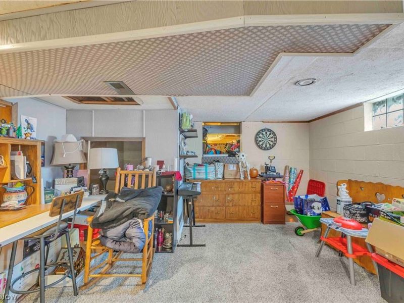 10273 E River Road, Elyria, OH 44035 Photo 27