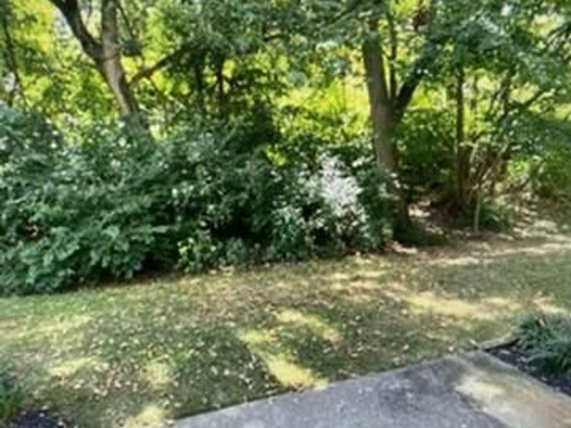 34 Spring Place, Highland Heights, KY 41076 Photo 15