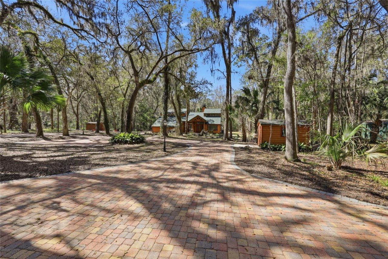 11922 SW 16th Street, Micanopy, FL 32667 Photo