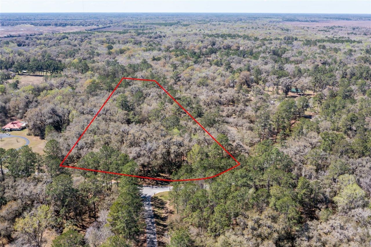 11922 SW 16th Street, Micanopy, FL 32667 Photo