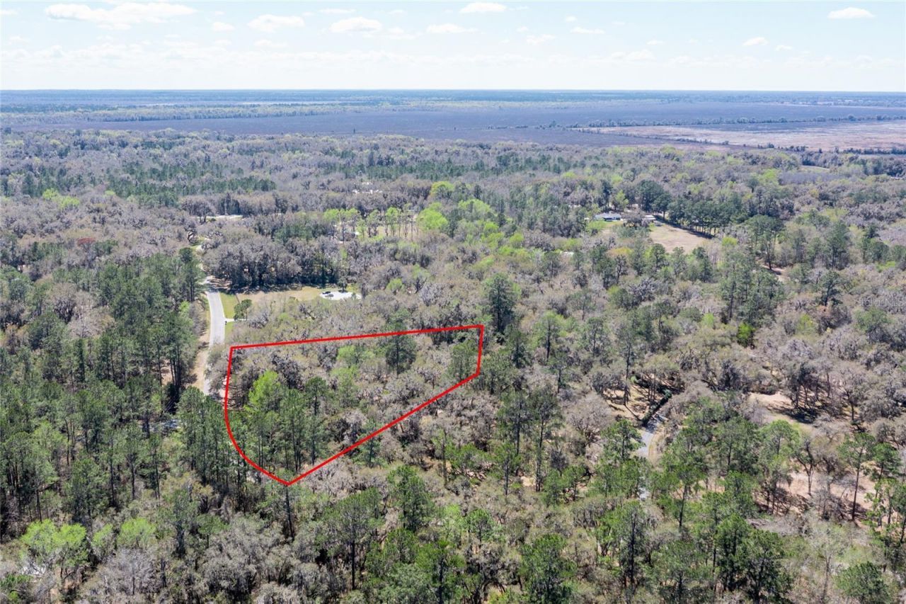 11922 SW 16th Street, Micanopy, FL 32667 Photo