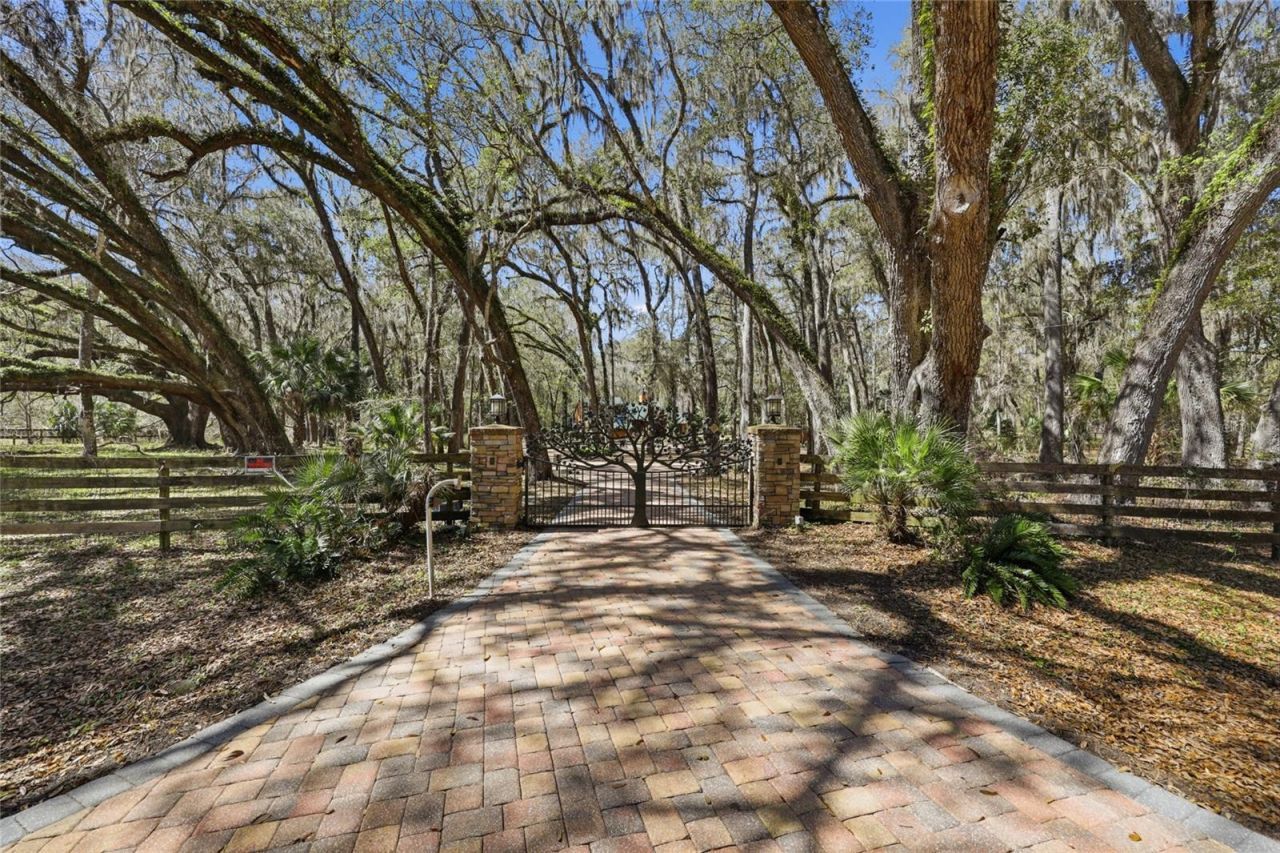 11922 SW 16th Street, Micanopy, FL 32667 Photo