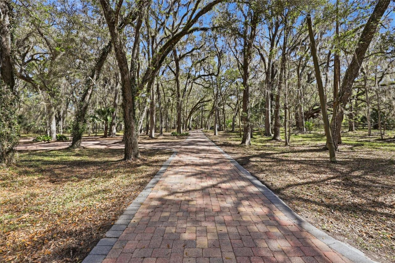 11922 SW 16th Street, Micanopy, FL 32667 Photo