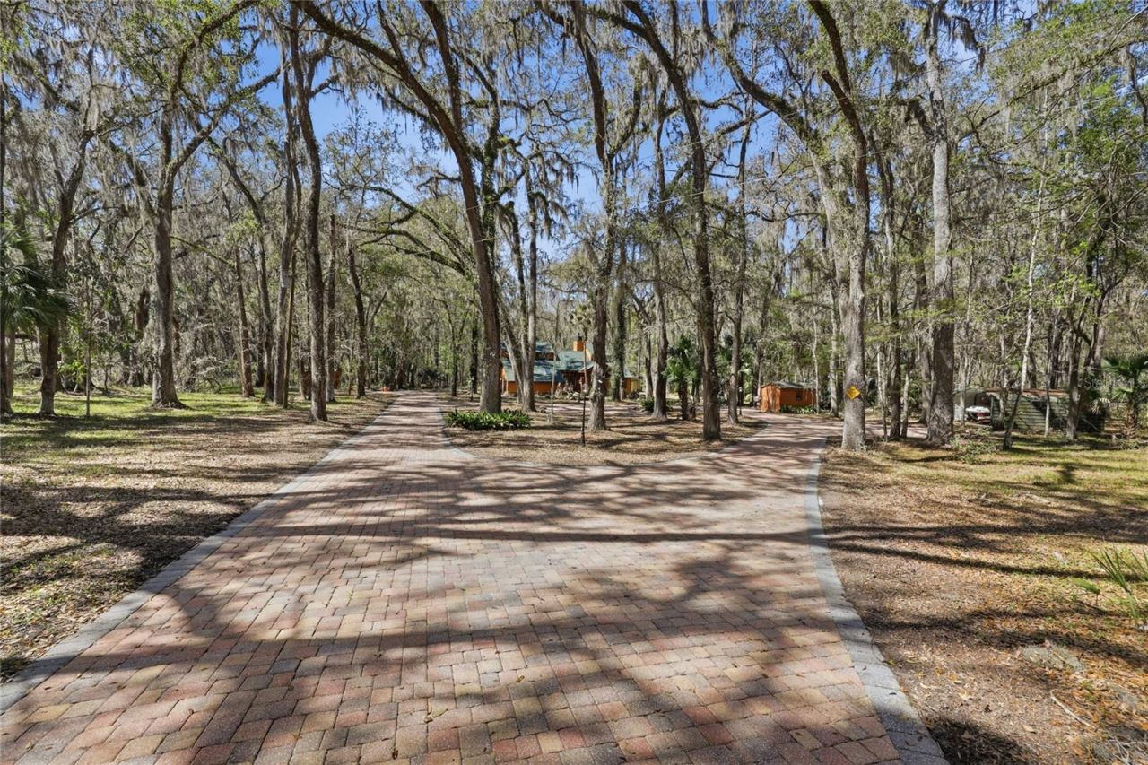 11922 SW 16th Street, Micanopy, FL 32667 Photo