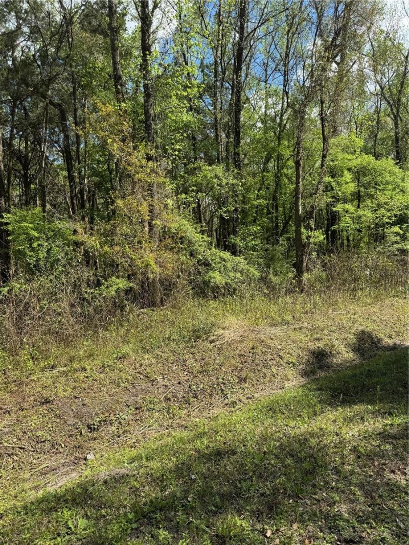 10140 Yeager Avenue, Hastings, FL 32145 Main Photo