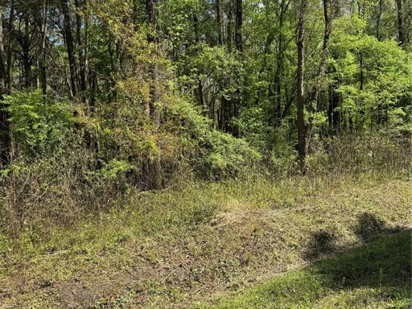 10140 YEAGER AVENUE, HASTINGS, FL 32145