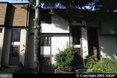 3029 Virginia Dare Court, Chantilly, VA 20151 Main Photo