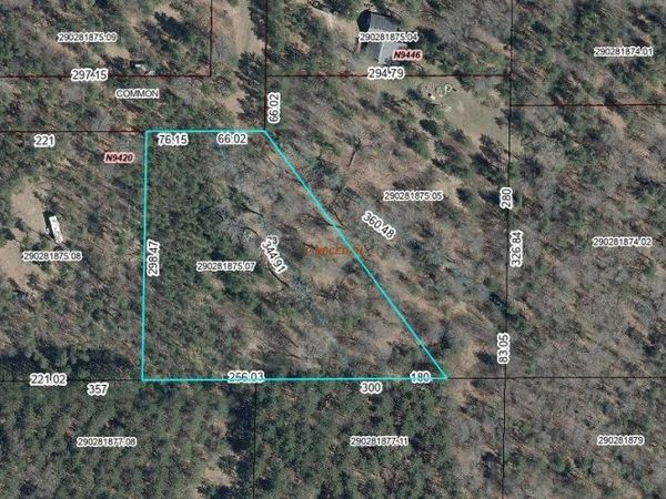 1.937 Acres JOHNSBURG ROAD, Unit Parcel #29, Necedah, WI 54646