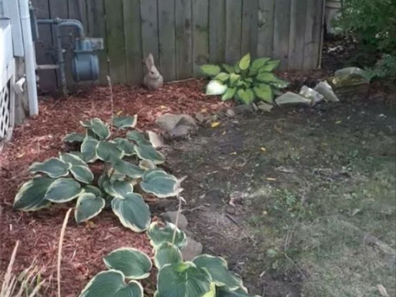 1512 Middle Avenue, Elyria, OH 44035 Photo 39