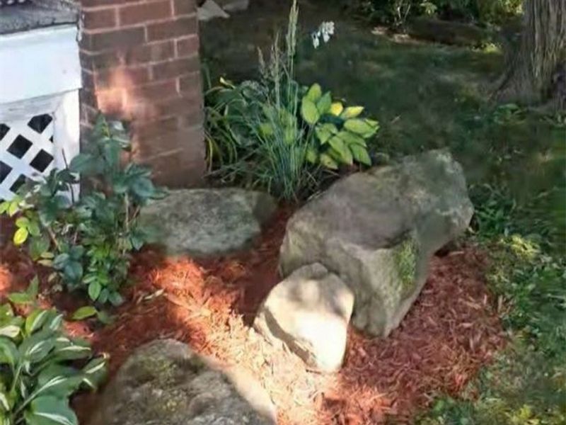 1512 Middle Avenue, Elyria, OH 44035 Photo 40