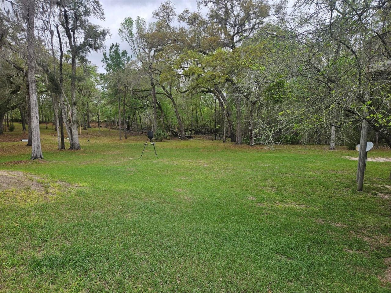 4250 NW 81st Lane, Bell, FL 32619 Photo