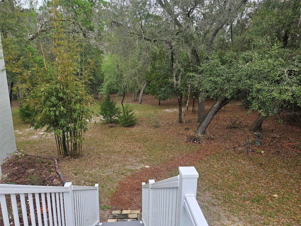 4250 NW 81st Lane, Bell, FL 32619 Photo