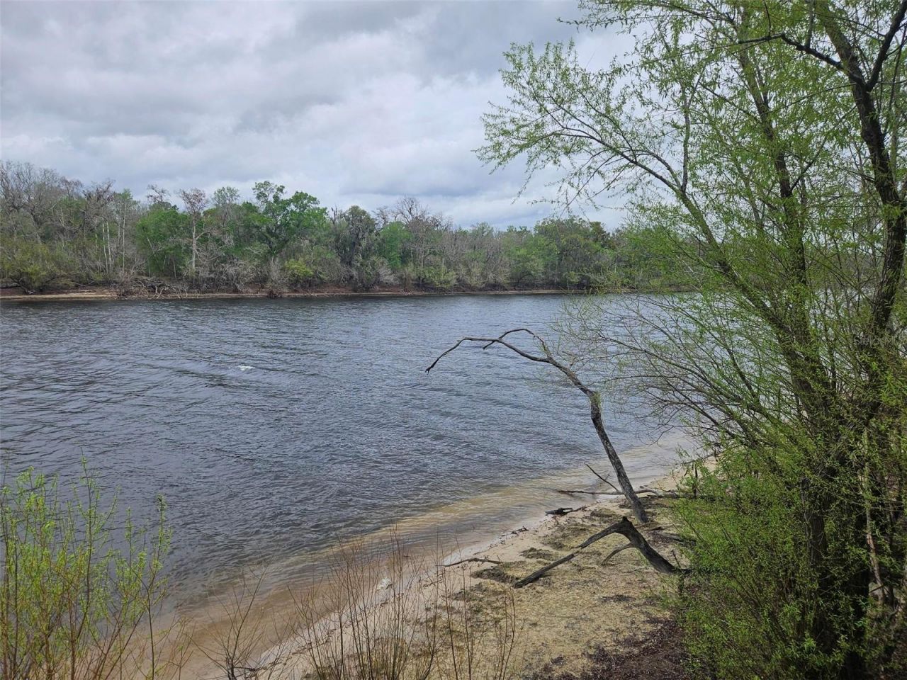 4250 NW 81st Lane, Bell, FL 32619 Photo