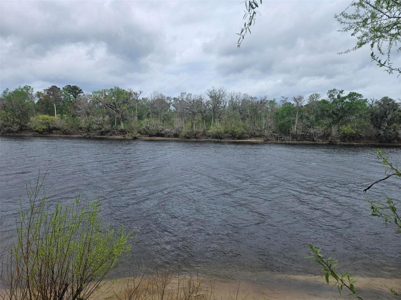 4250 NW 81st Lane, Bell, FL 32619 Photo