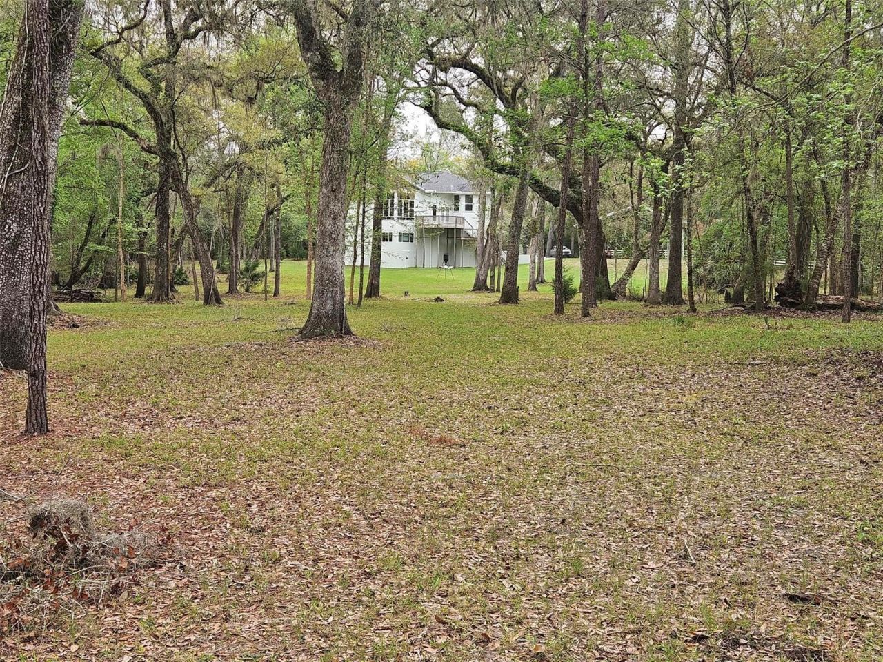 4250 NW 81st Lane, Bell, FL 32619 Photo