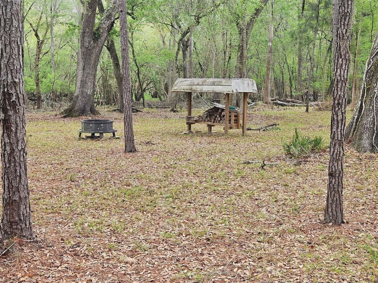 4250 NW 81st Lane, Bell, FL 32619 Photo