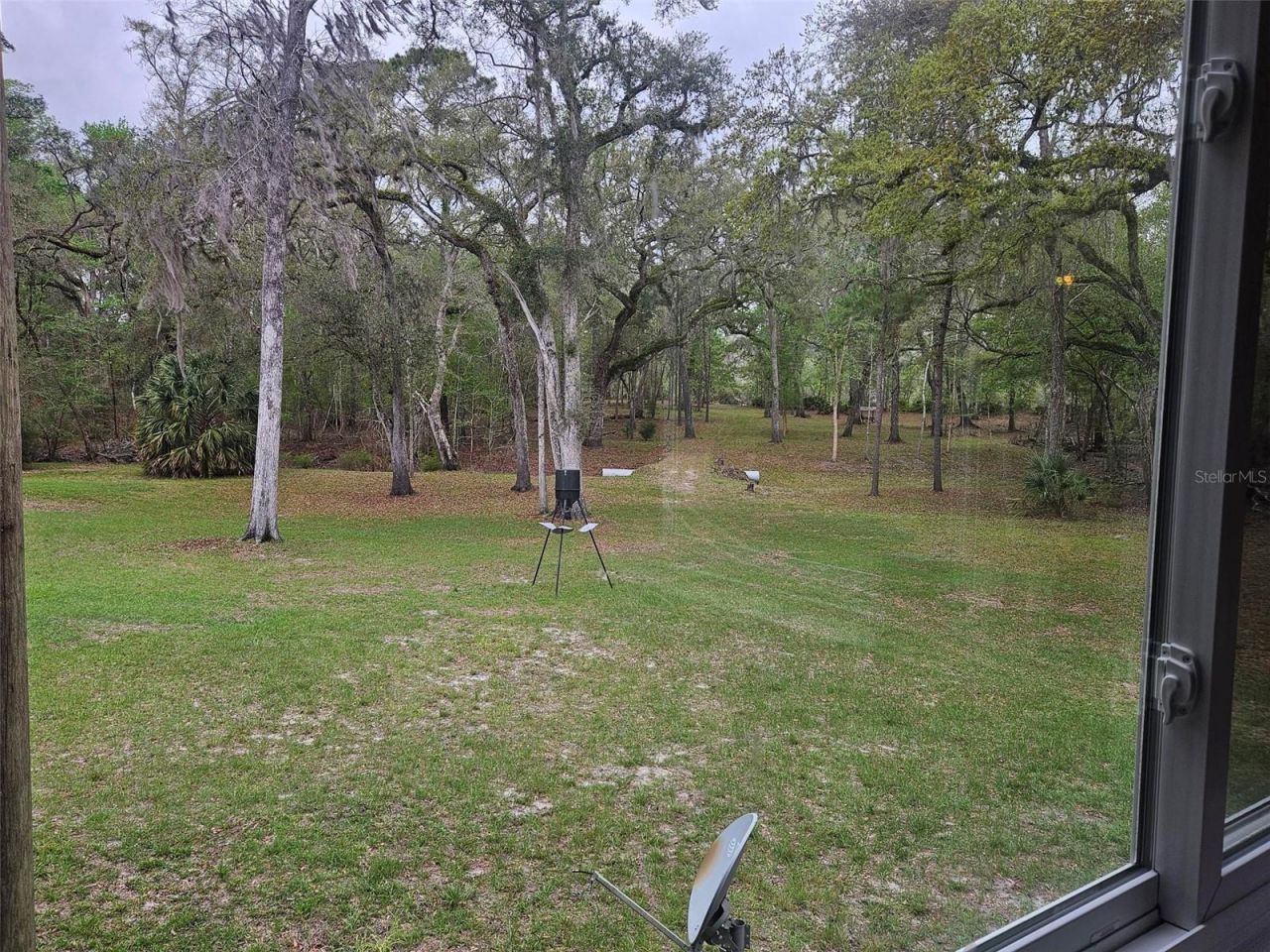 4250 NW 81st Lane, Bell, FL 32619 Photo