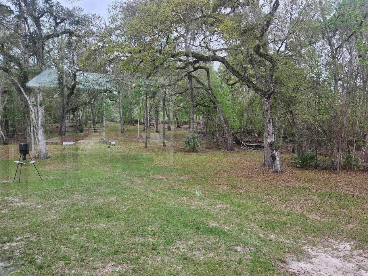 4250 NW 81st Lane, Bell, FL 32619 Photo