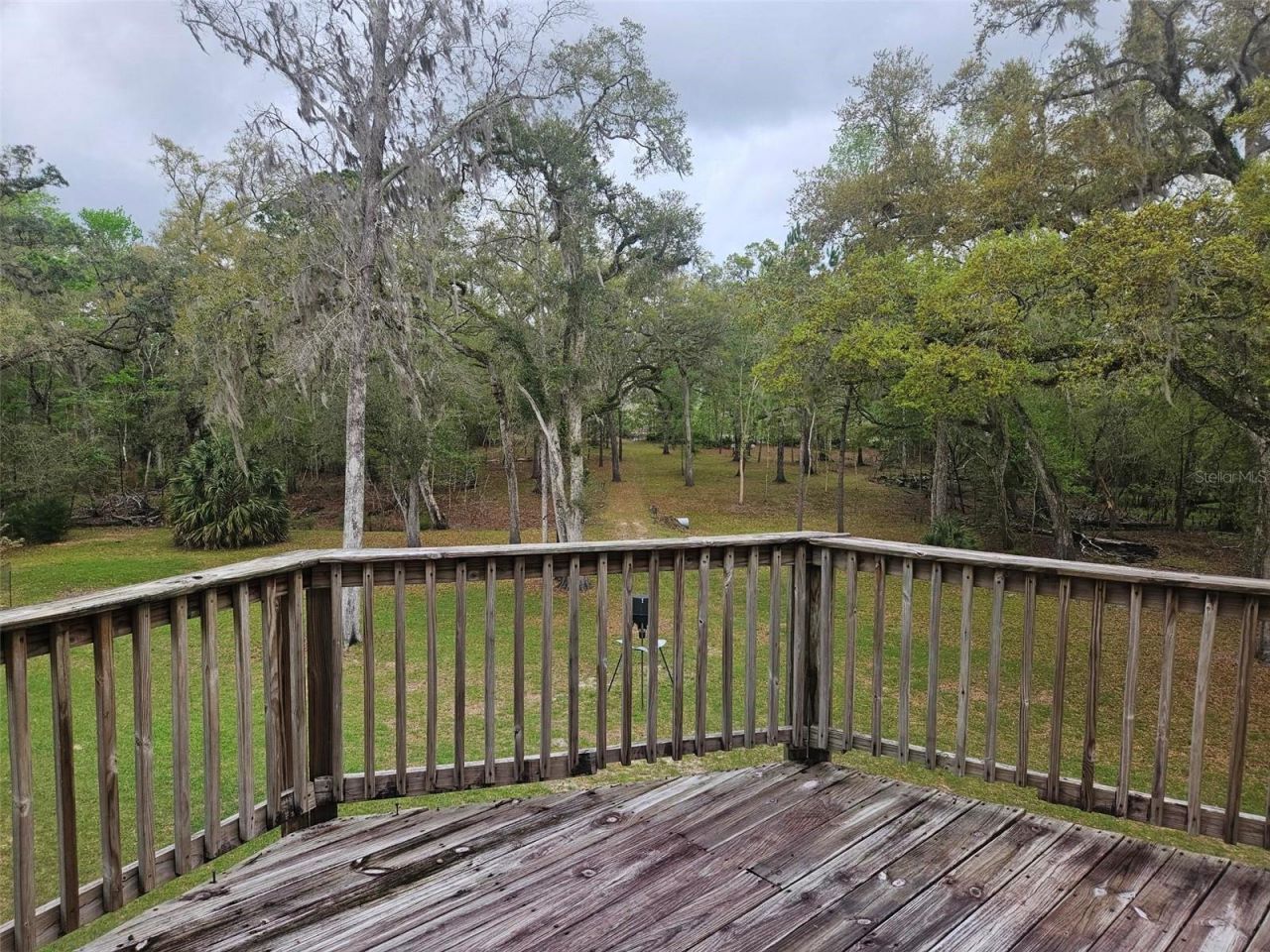 4250 NW 81st Lane, Bell, FL 32619 Photo