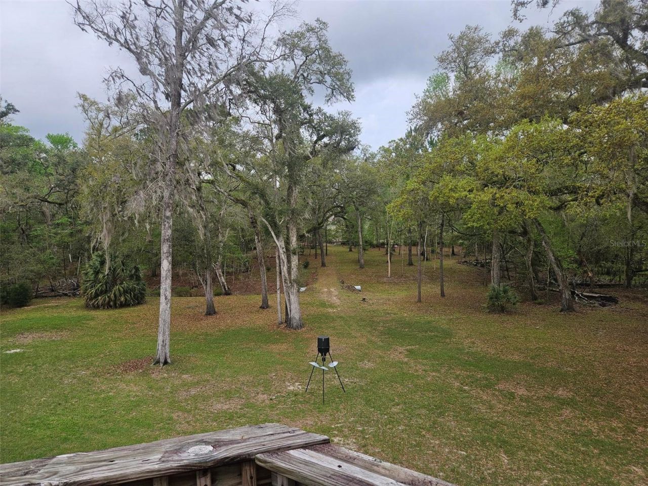 4250 NW 81st Lane, Bell, FL 32619 Photo