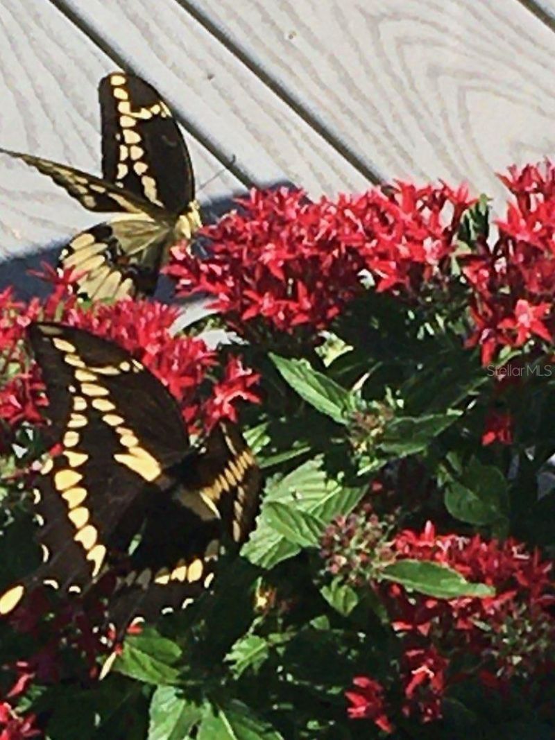 4250 NW 81st Lane, Bell, FL 32619 Photo