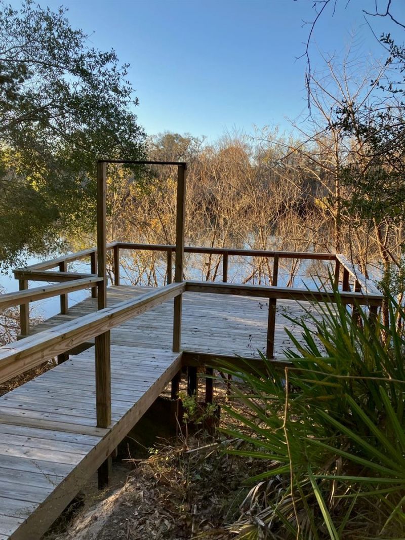 4250 NW 81st Lane, Bell, FL 32619 Photo