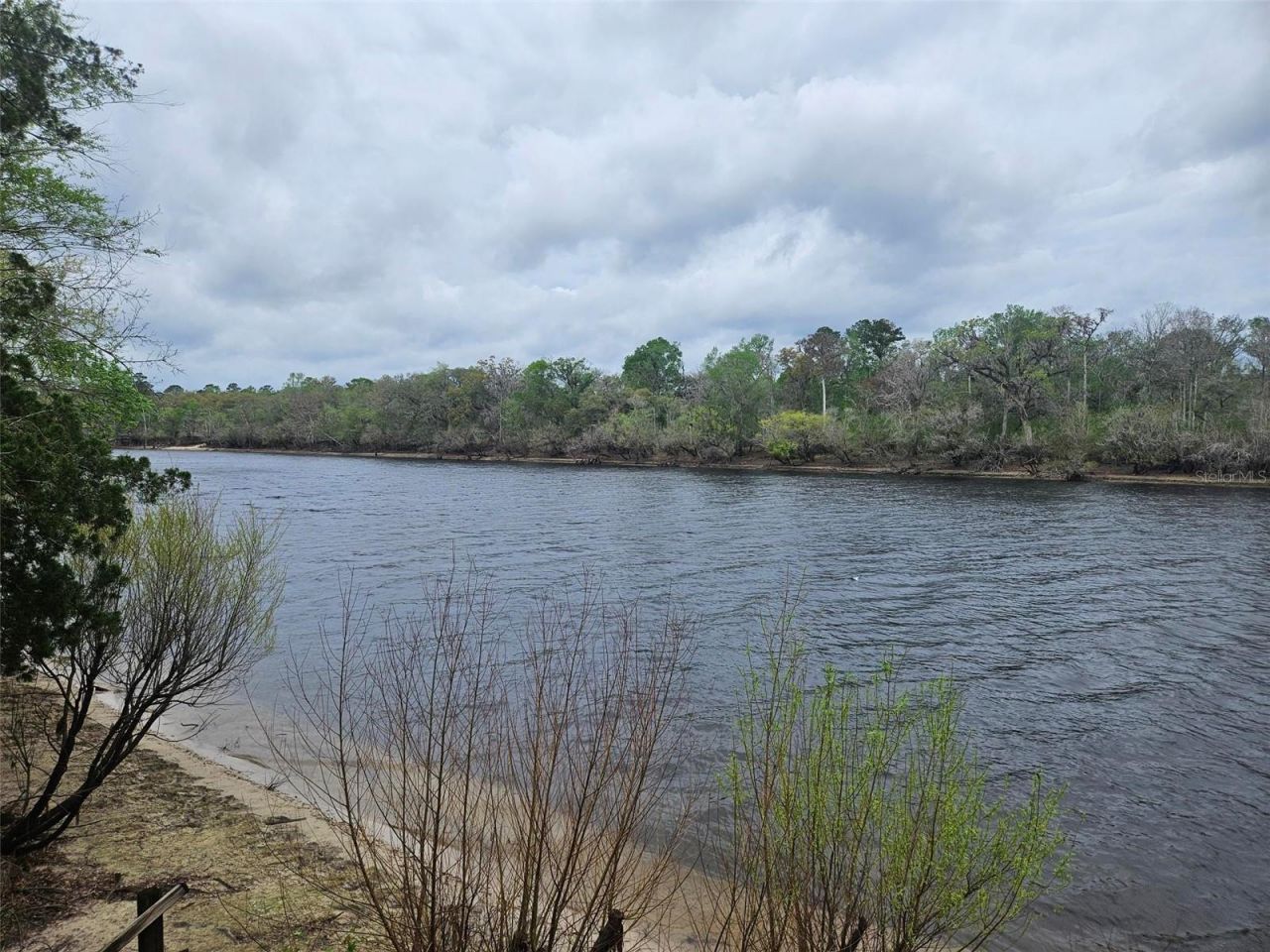 4250 NW 81st Lane, Bell, FL 32619 Photo