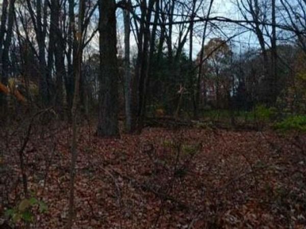 0 Beechwood Dr , Williamston, MI 48895