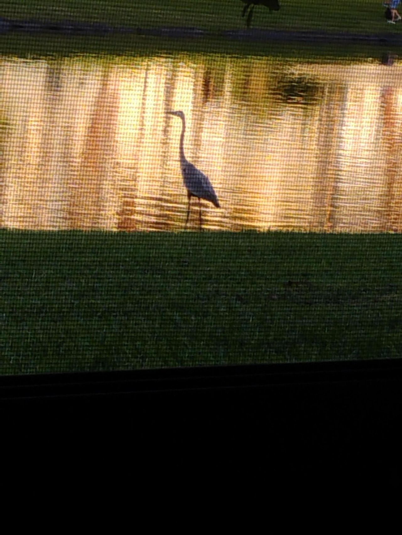192 Monaco D, Delray Beach, FL 33446 Photo
