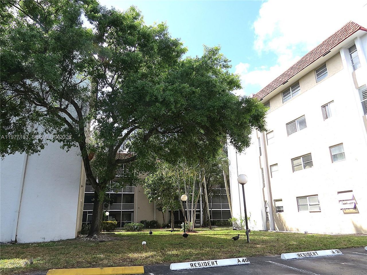 3591 Inverrary Dr, Unit 203, Lauderhill, FL 33319 Photo