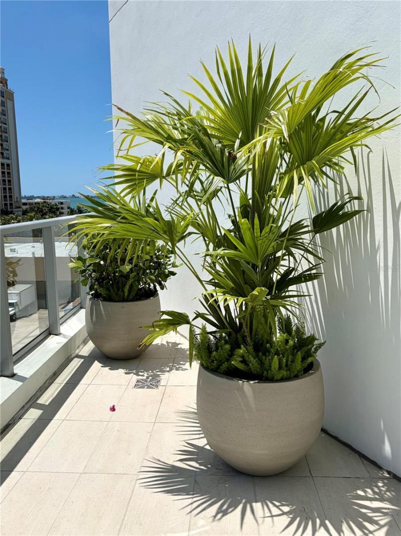 301 Quay Commons, Unit 509, Sarasota, FL 34236 Photo