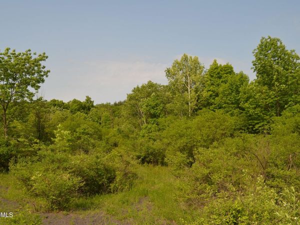 25 Barent Winne Road, Selkirk, NY 12158