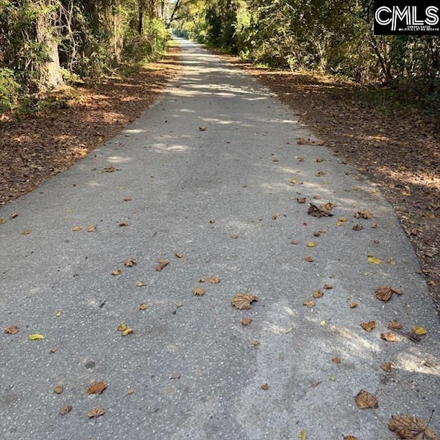 195 Wild Turkey Lane  Photo 23