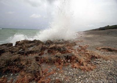 429 NE Tradewind Lane, Unit 306, Stuart, FL 34996 Photo