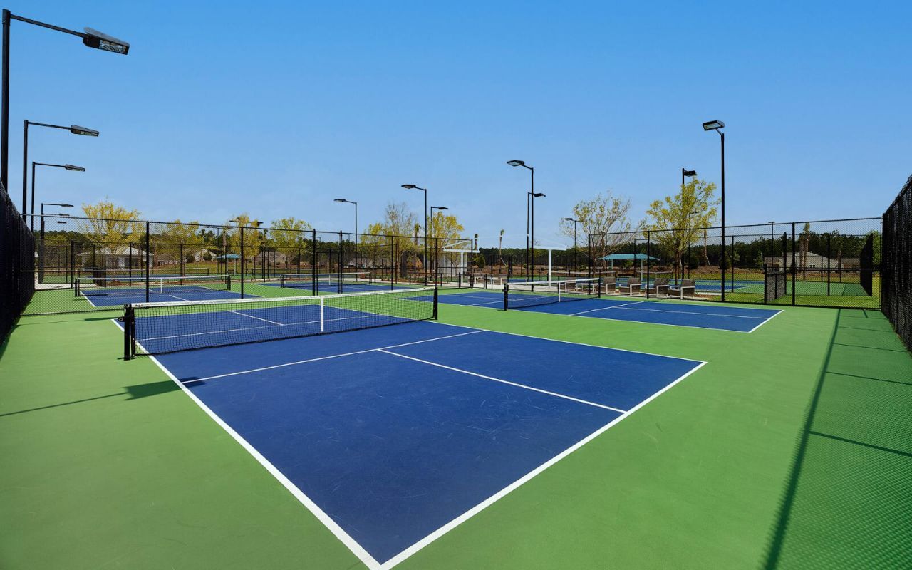 311 Autumn Azalea Way Photo 43