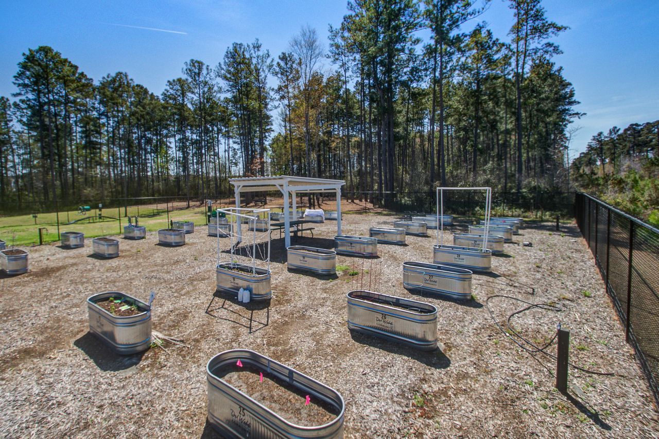 311 Autumn Azalea Way Photo 47