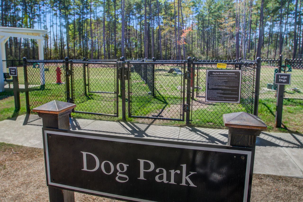 311 Autumn Azalea Way Photo 49