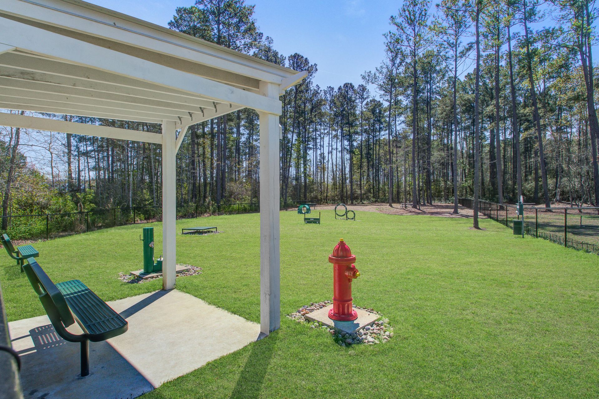 311 Autumn Azalea Way Photo 53