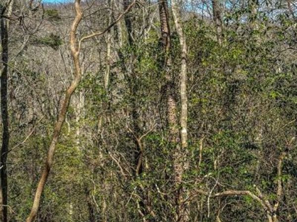 00 TS Jarrard, Dahlonega, GA 30533