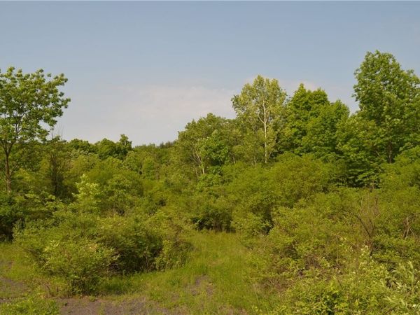 25 Barent Winne Road, Selkirk, NY 12158