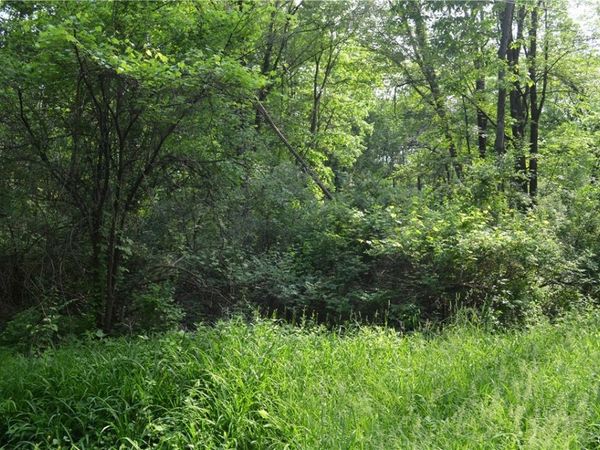 9 Cedar Drive, Selkirk, NY 12205