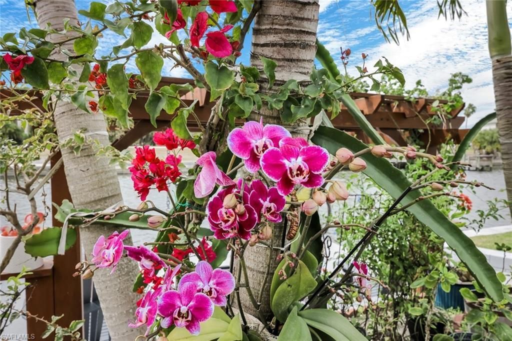 2364 NW 39th Ave, Cape Coral, FL 33993 Photo