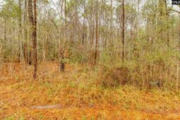 1152 Pineland Drive  photo 4