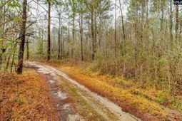 1152 Pineland Drive  photo 4