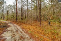 1152 Pineland Drive  photo 4